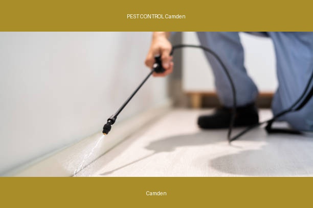 PEST CONTROL Camden
